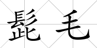 髭毛