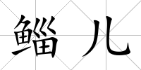 鯔兒