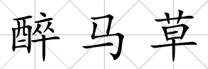 醉馬草