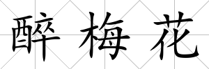 醉梅花