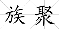族聚