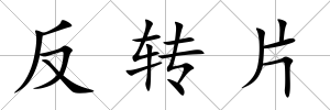 反轉片