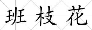 班枝花