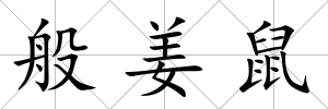 般姜鼠