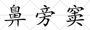 鼻旁竇
