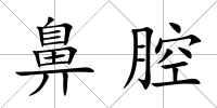 鼻腔