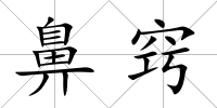 鼻竅