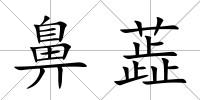 鼻蕋
