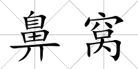 鼻窩