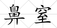 鼻窒