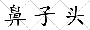 鼻子頭