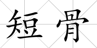 短骨