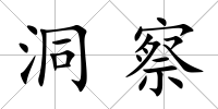 洞察