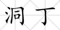 洞丁