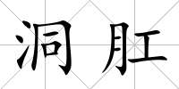 洞肛
