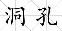 洞孔