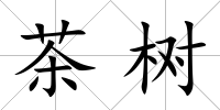茶樹