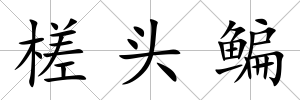 槎頭鳊