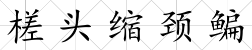 槎頭縮頸鳊