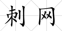 刺網(wǎng)