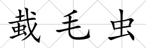 蛓毛蟲