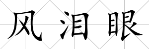 風淚眼