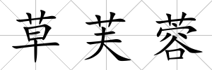 草芙蓉