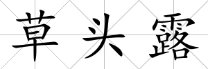 草頭露