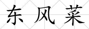 東風菜