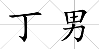 丁男