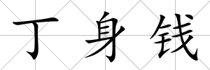丁身錢