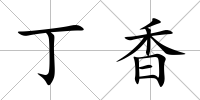 丁香
