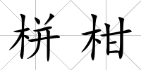栟柑