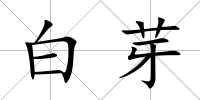 白芽