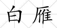 白雁