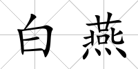 白燕