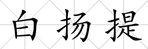 白揚提