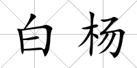 白楊