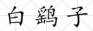 白鷂子
