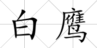 白鷹