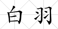 白羽