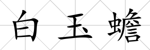 白玉蟾