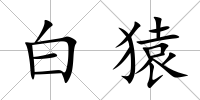 白猿