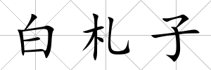 白札子