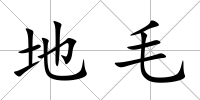 地毛