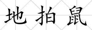 地拍鼠