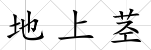 地上莖