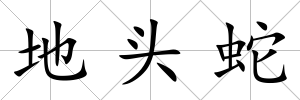 地頭蛇