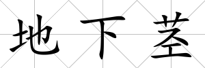 地下莖