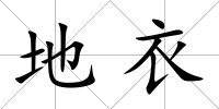 地衣